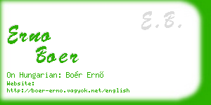 erno boer business card