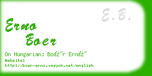 erno boer business card